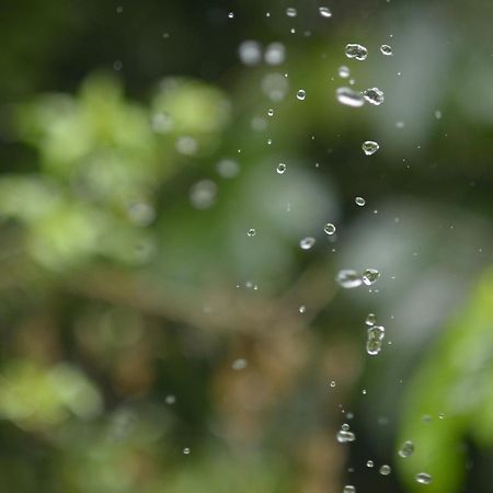 Huingos Eco Lodge 塔拉波托 外观 照片