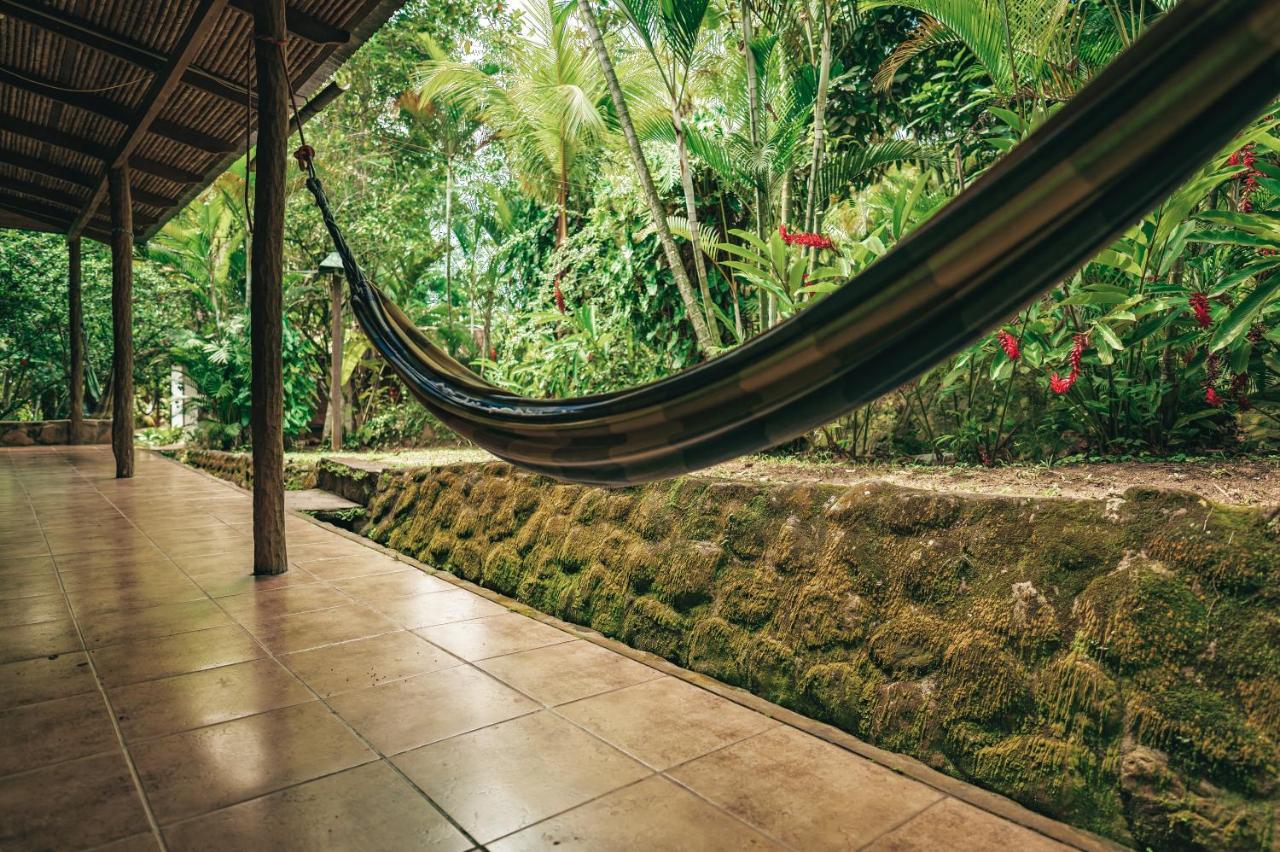 Huingos Eco Lodge 塔拉波托 外观 照片