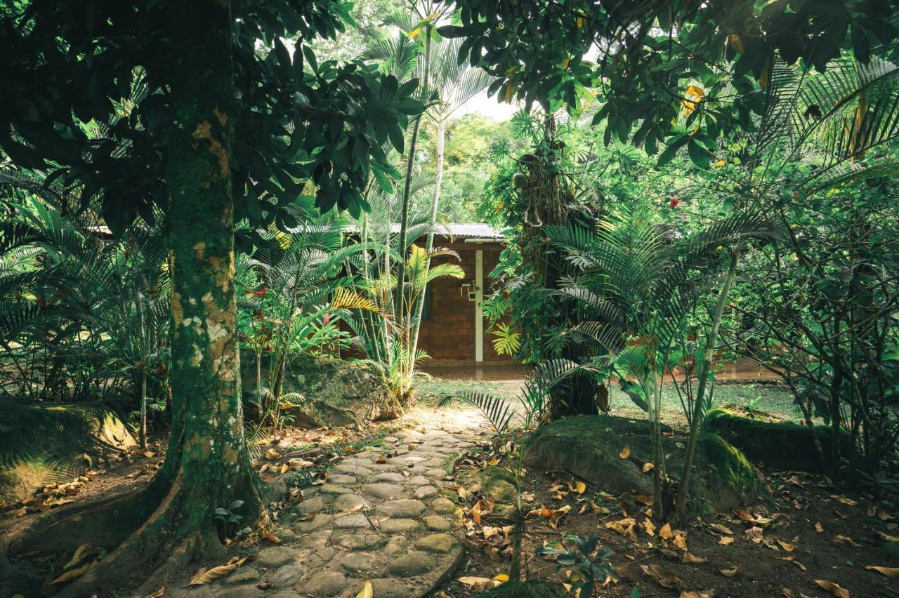 Huingos Eco Lodge 塔拉波托 外观 照片