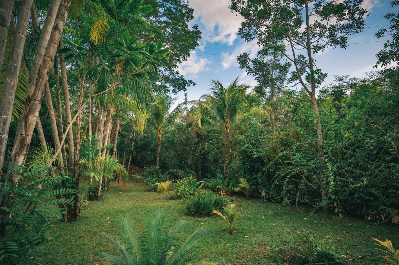 Huingos Eco Lodge 塔拉波托 外观 照片