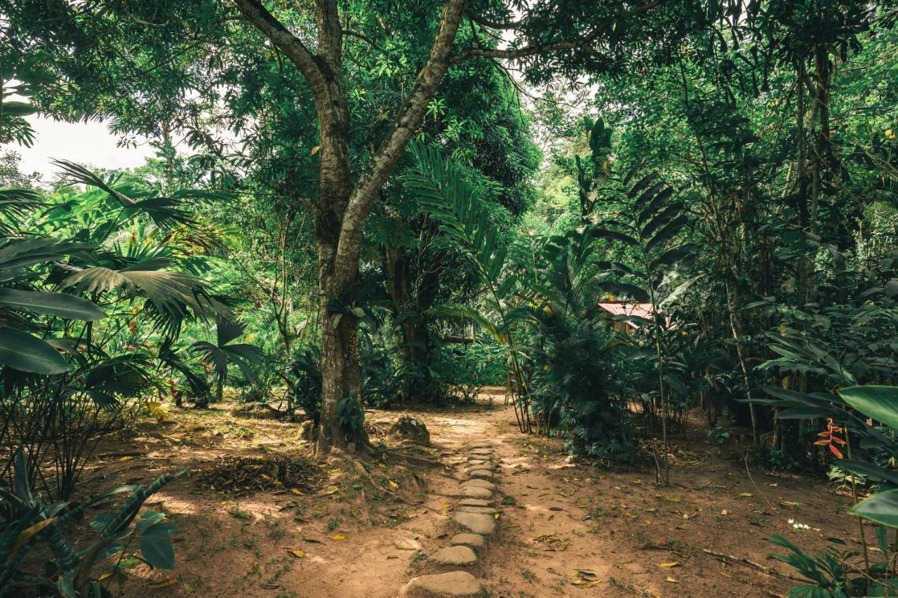 Huingos Eco Lodge 塔拉波托 外观 照片