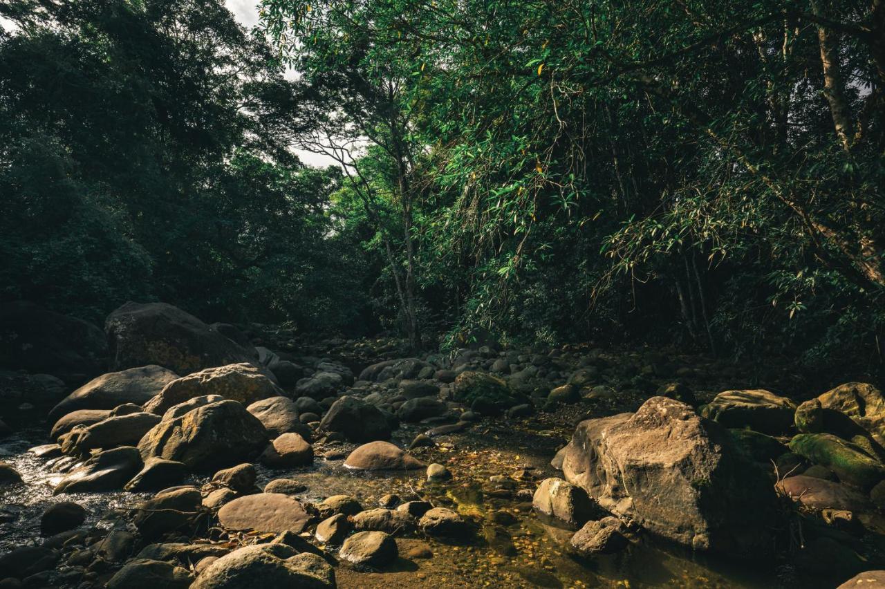 Huingos Eco Lodge 塔拉波托 外观 照片
