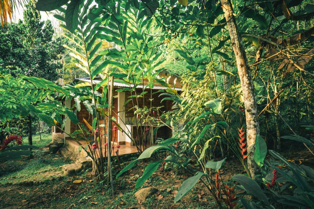 Huingos Eco Lodge 塔拉波托 外观 照片