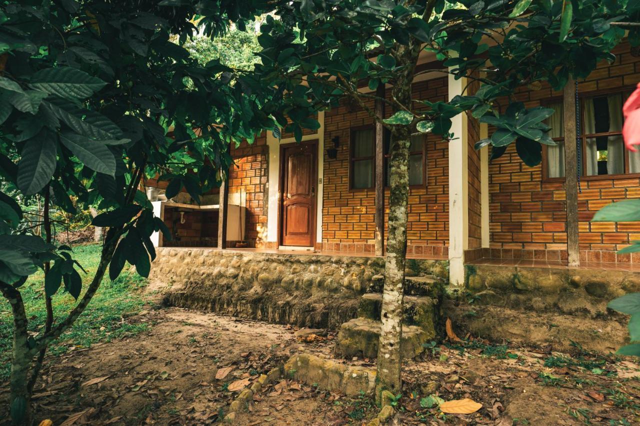 Huingos Eco Lodge 塔拉波托 外观 照片