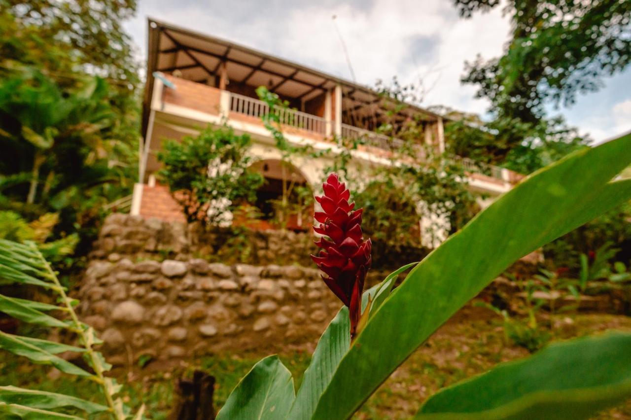 Huingos Eco Lodge 塔拉波托 外观 照片