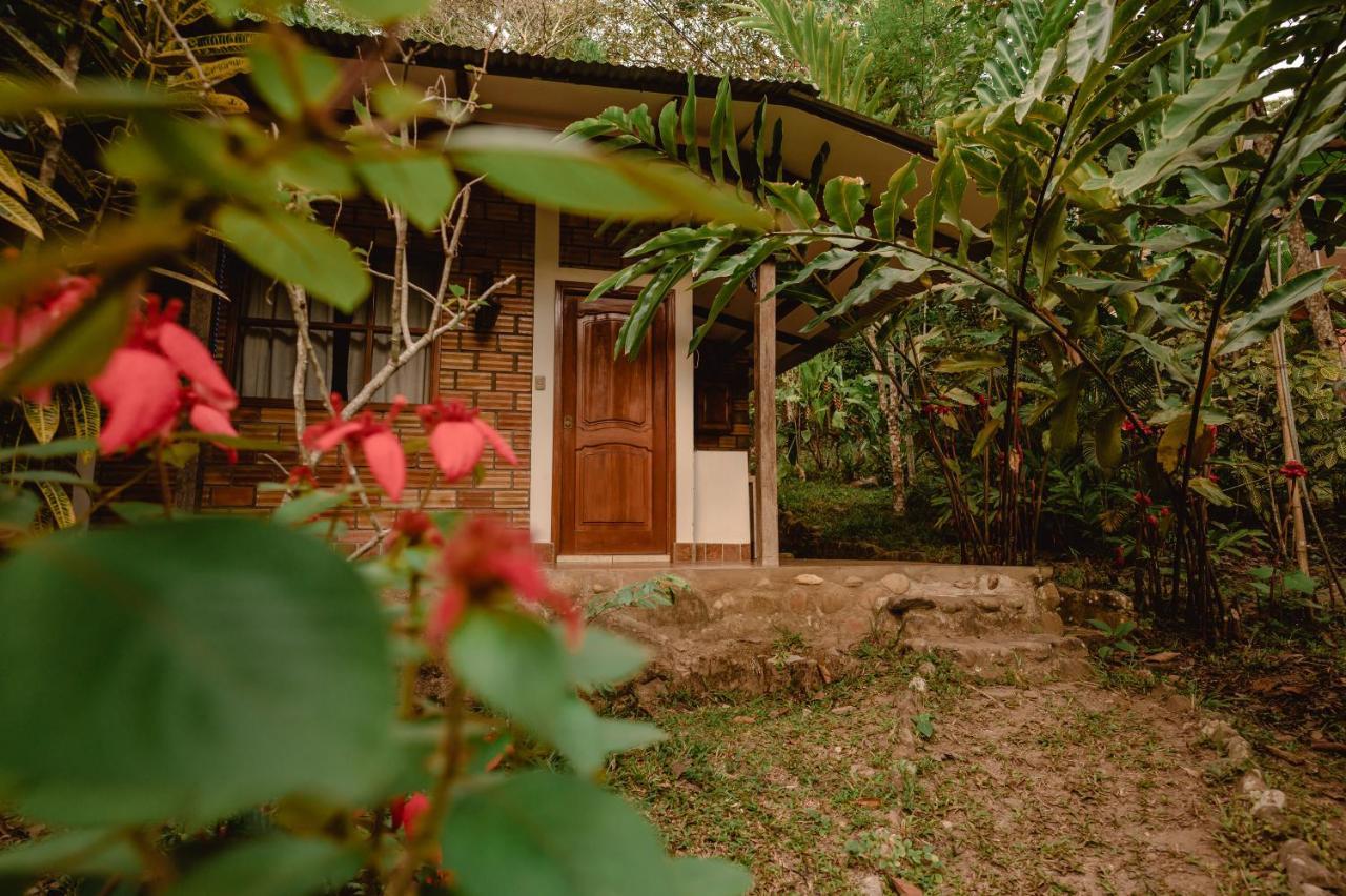 Huingos Eco Lodge 塔拉波托 外观 照片