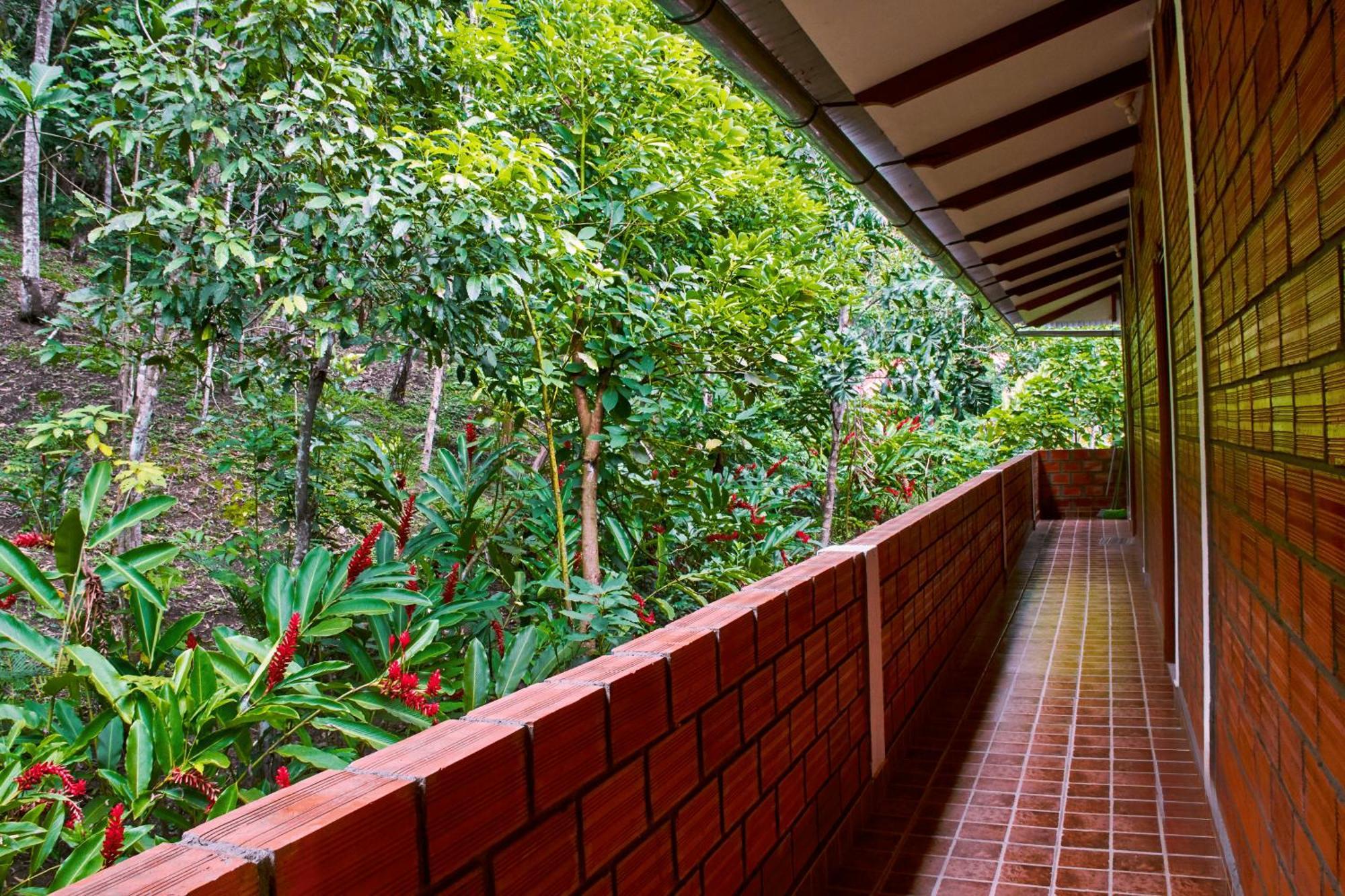 Huingos Eco Lodge 塔拉波托 外观 照片