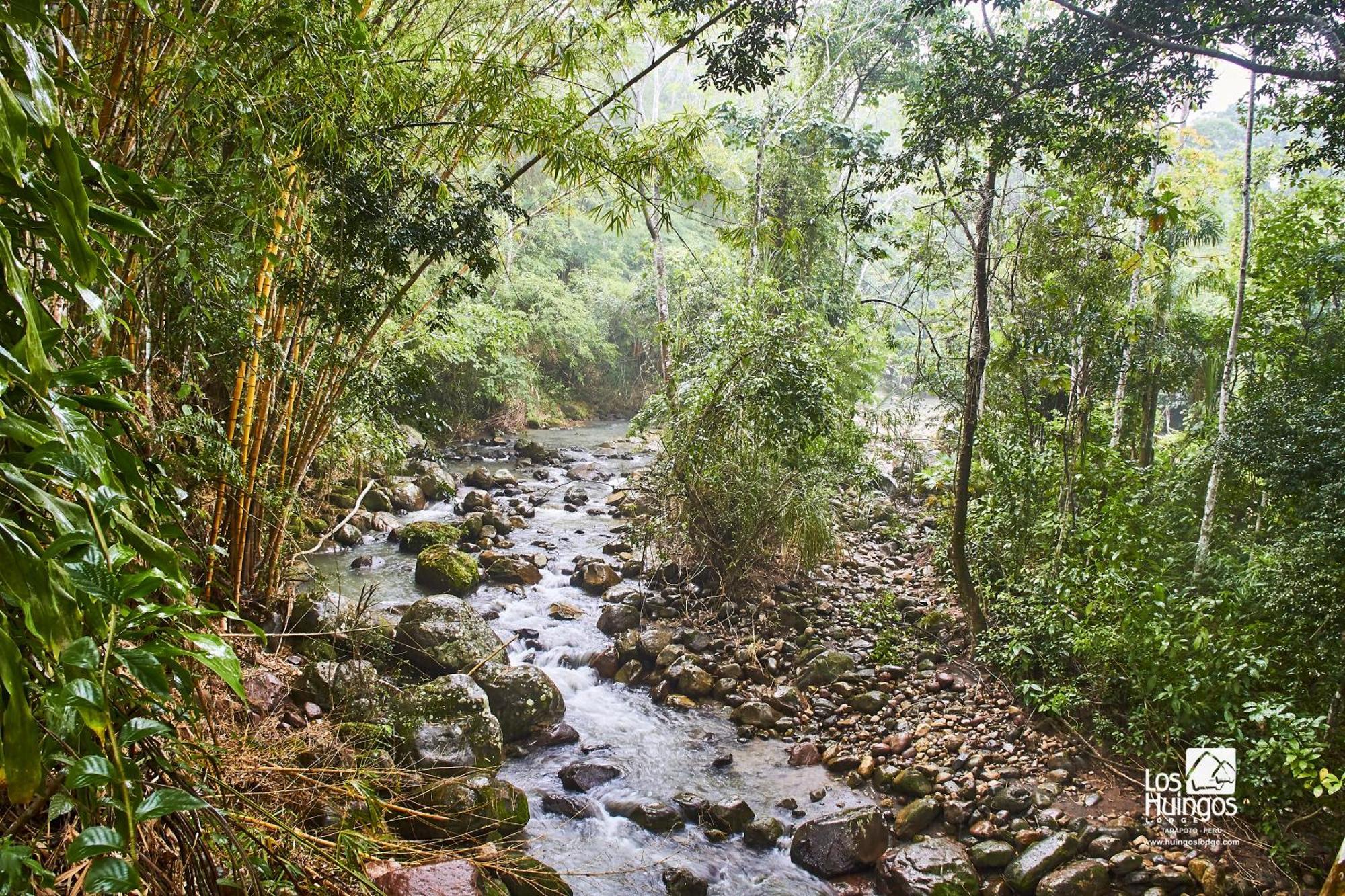 Huingos Eco Lodge 塔拉波托 外观 照片