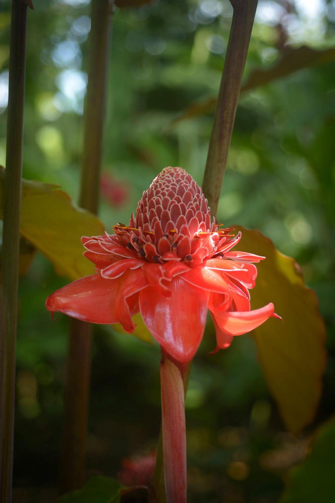 Huingos Eco Lodge 塔拉波托 外观 照片